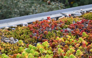 the cost of Balchrick green roof installation